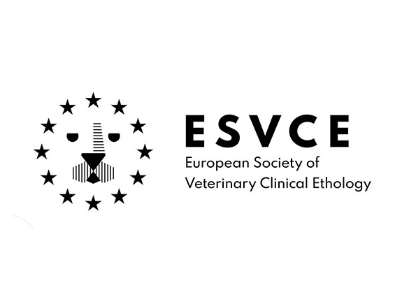 logo_esvce