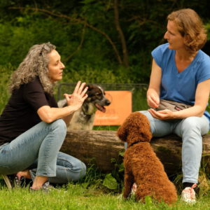 Intake für Deinen Hund