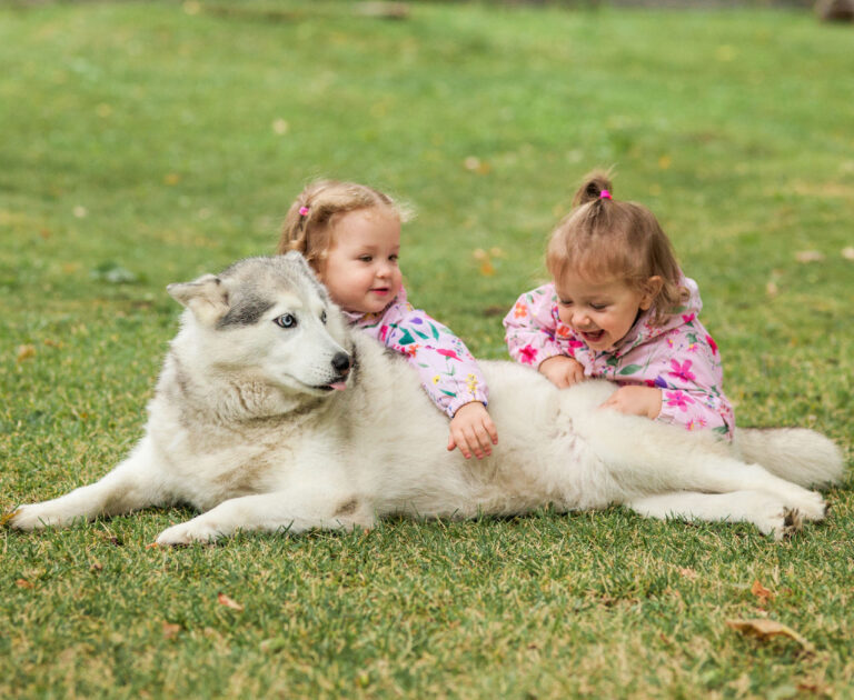 kinder-und-hund-klein