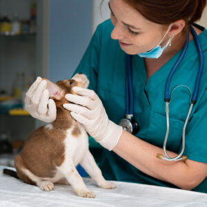 Medical Training