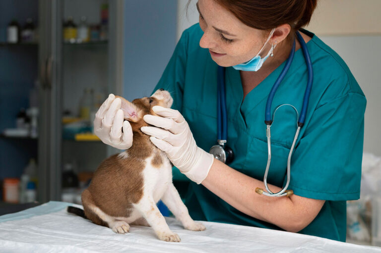 medical-training_web