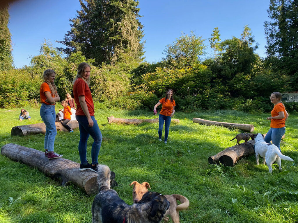 Trainee bei SIRIUS Hundeschule