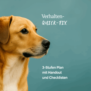 Klickertraining für Hunde – Präzise Belohnung & Verhaltenstherapie