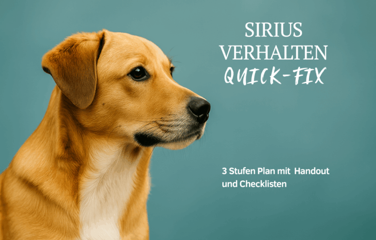 Verhalten QuickFix mit SIRIUS Klein