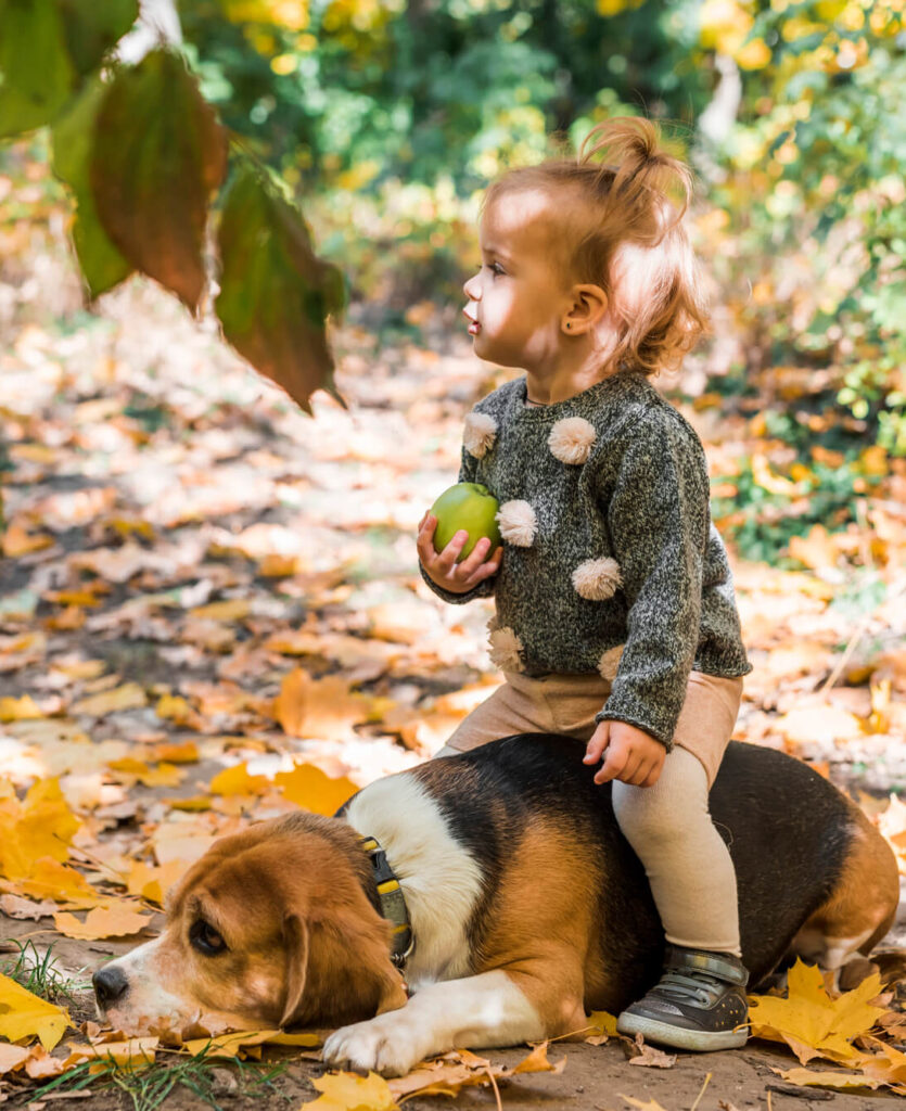 Nähe zwischen Mensch und Hund – Stresssignale und Grenzen des Hundes erkennen