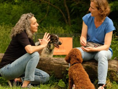 SIRIUS Behavior Vets Verhaltenstherapie Hund in München