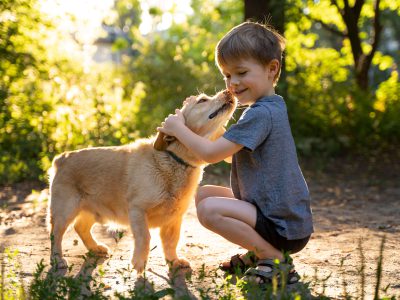 Kind begegnet einem Hund – Bissprävention und sichere Kommunikation mit Hunden